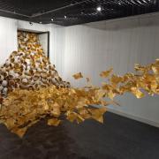 Eclosion01