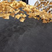Eclosion02