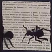 Fourmis 06