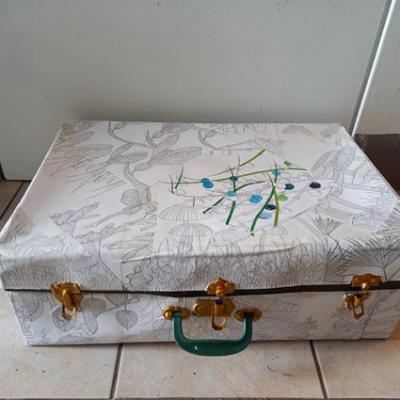 Valise 05